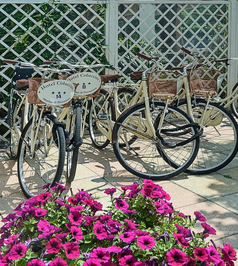 Hotel Coluccini Marina di Pietrasanta Ngoại thất bức ảnh