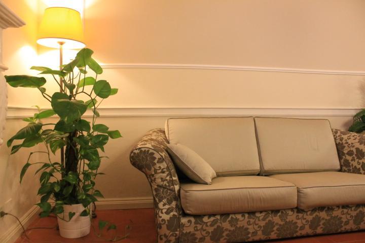 Hotel Coluccini Marina di Pietrasanta Ngoại thất bức ảnh
